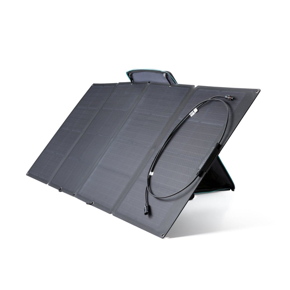 EcoFlow RIVER Pro + 160W Portable Solar Panel